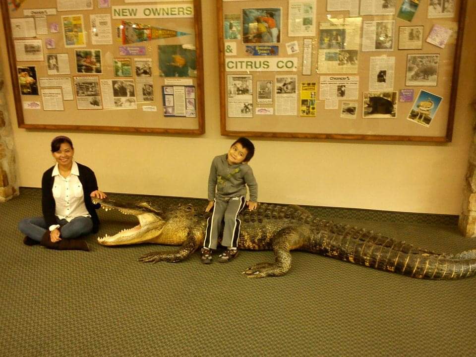 Crystal River, Florida – Manatee Haven