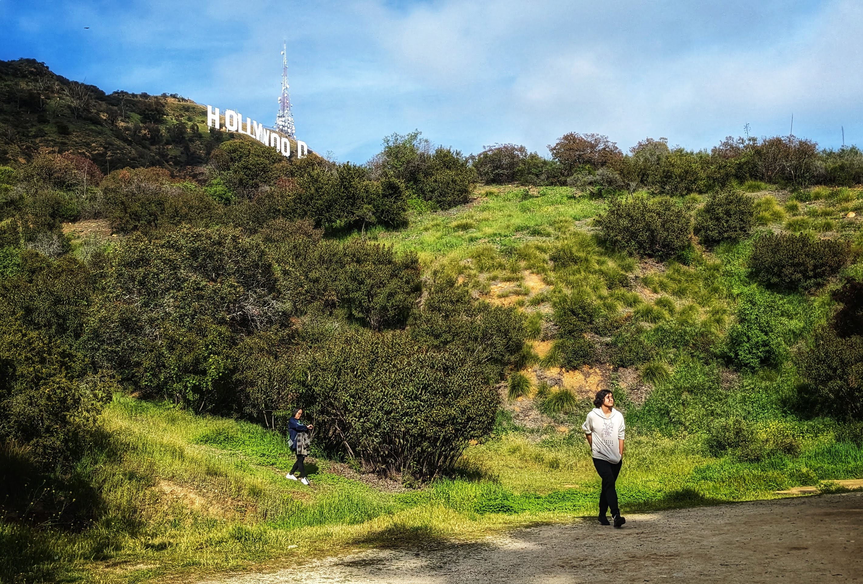 Hollywood Hills Tour in Los Angeles, CA, USA