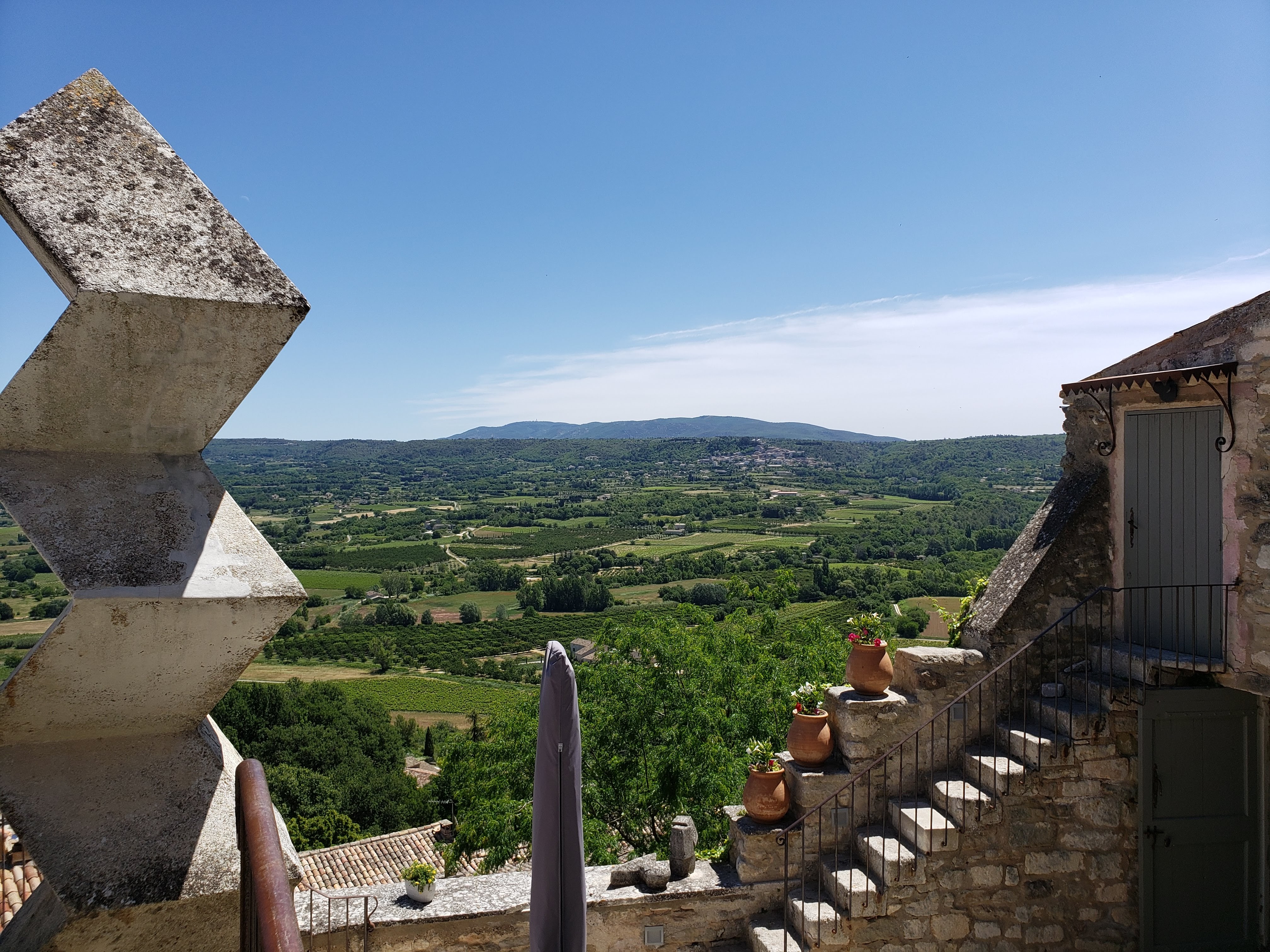 The Lavender Didn’t Save Us